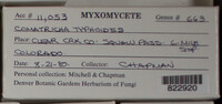 Image Associated With the Occurence